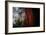 Within The Awesome and Mighty Redwoods, Detail Redwood National Park-Vincent James-Framed Photographic Print