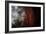 Within The Awesome and Mighty Redwoods, Detail Redwood National Park-Vincent James-Framed Photographic Print