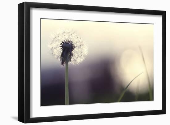 Without You-Incredi-Framed Photographic Print