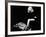 Witness for the Prosecution, 1957-null-Framed Photographic Print