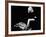 Witness for the Prosecution, 1957-null-Framed Photographic Print