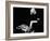 Witness for the Prosecution, 1957-null-Framed Photographic Print