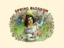 Spring Blossom-Witsch & Schmitt Lihto.-Framed Stretched Canvas