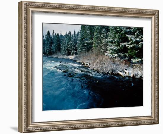 Wizard Falls on the Metolius River, Deschutes National Forest, Oregon, USA-null-Framed Photographic Print