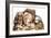 Wizardology-Anne Yvonne Gilbert-Framed Giclee Print