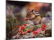 Premium Photographic Print