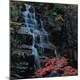 Premium Photographic Print