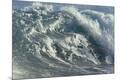 Premium Photographic Print