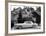 WM Clay Ford Lincoln Continental, 1955-null-Framed Giclee Print