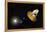 WMAP Spacecraft, Artwork-null-Framed Premier Image Canvas