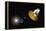 WMAP Spacecraft, Artwork-null-Framed Premier Image Canvas