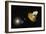 WMAP Spacecraft, Artwork-null-Framed Photographic Print