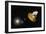 WMAP Spacecraft, Artwork-null-Framed Photographic Print