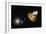 WMAP Spacecraft, Artwork-null-Framed Photographic Print