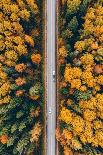 Aerial Top View of Road with Car through Fall Forest with Colorful Leaves.-wmaster890-Photographic Print
