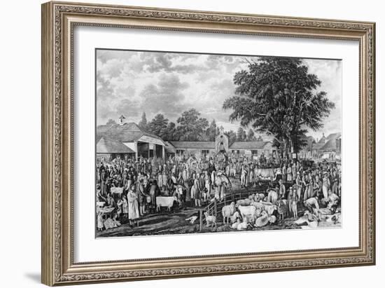 Woburn Sheepshearing, Engraved by Thomas Morris, 1811 (Engraving)-George Garrard-Framed Giclee Print