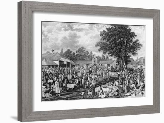 Woburn Sheepshearing, Engraved by Thomas Morris, 1811 (Engraving)-George Garrard-Framed Giclee Print