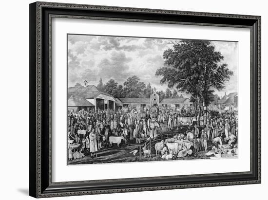 Woburn Sheepshearing, Engraved by Thomas Morris, 1811 (Engraving)-George Garrard-Framed Giclee Print