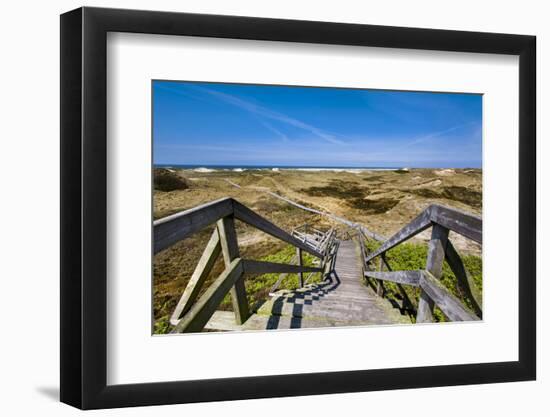 Wodden Path in the Dunes, Amrum Island, Northern Frisia, Schleswig-Holstein, Germany-Sabine Lubenow-Framed Photographic Print