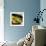 Wok Stir Fry with Selective Focus-evren_photos-Framed Photographic Print displayed on a wall