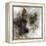 Wolf Call-Ken Roko-Framed Stretched Canvas