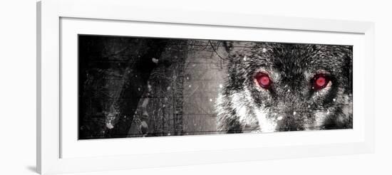 Wolf Eyes-Milli Villa-Framed Photo