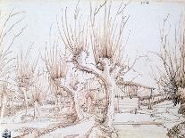 Tree Study, 1519-Wolf Huber-Giclee Print