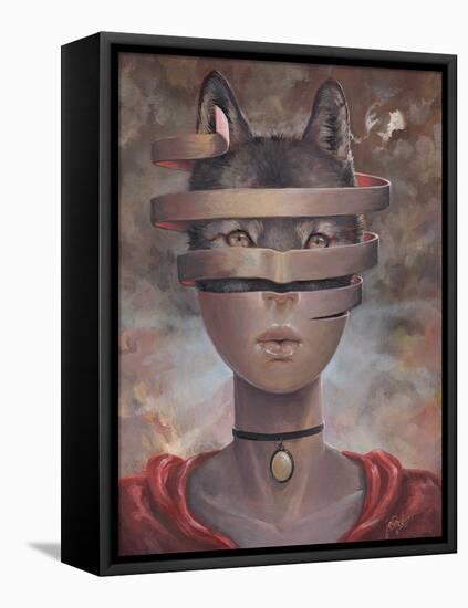 Wolf in Lambs Clothes-Aaron Jasinski-Framed Stretched Canvas