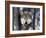 Wolf, Minnesota, USA-Gavriel Jecan-Framed Photographic Print