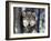 Wolf, Minnesota, USA-Gavriel Jecan-Framed Photographic Print