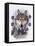 Wolf Montage, Winter-William Vanderdasson-Framed Premier Image Canvas