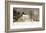 Wolf Moon-Ray Hendershot-Framed Art Print