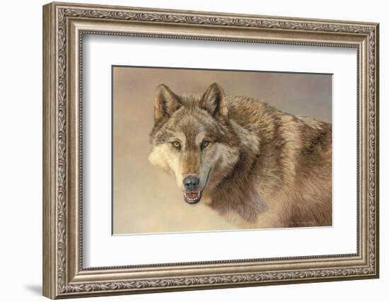 Wolf Portrait-Kalon Baughan-Framed Giclee Print