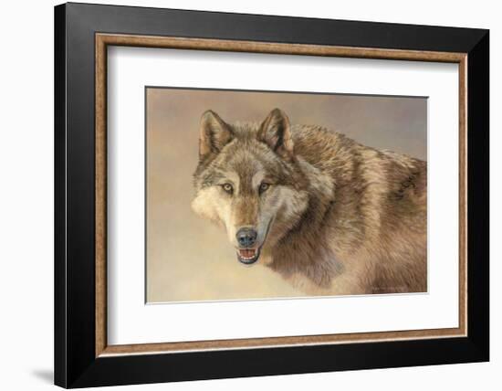 Wolf Portrait-Kalon Baughan-Framed Giclee Print