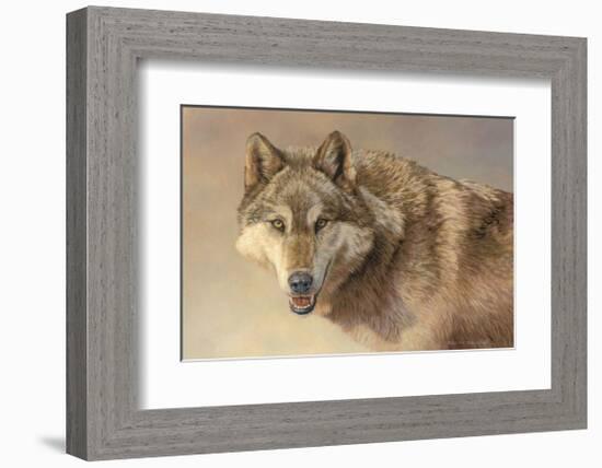 Wolf Portrait-Kalon Baughan-Framed Giclee Print