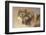 Wolf Portrait-Kalon Baughan-Framed Giclee Print