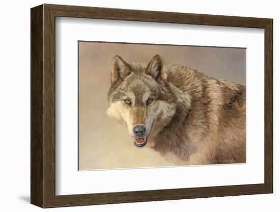 Wolf Portrait-Kalon Baughan-Framed Giclee Print