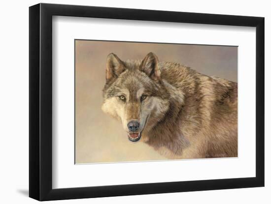 Wolf Portrait-Kalon Baughan-Framed Art Print