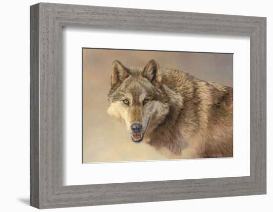 Wolf Portrait-Kalon Baughan-Framed Art Print