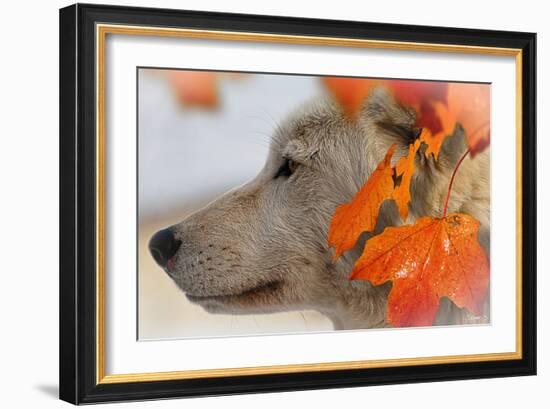 Wolf Profile Autumn Leaves-Gordon Semmens-Framed Photographic Print