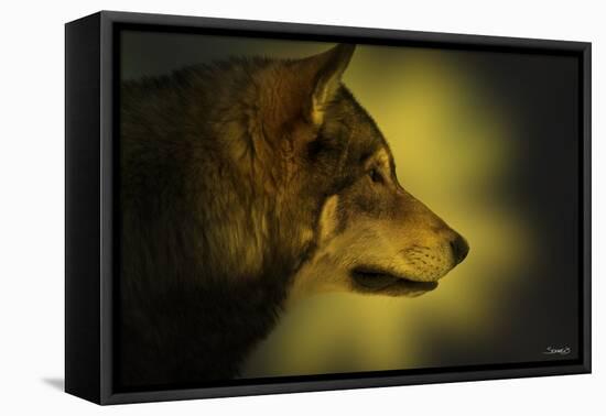 Wolf Profile HL1-Gordon Semmens-Framed Premier Image Canvas