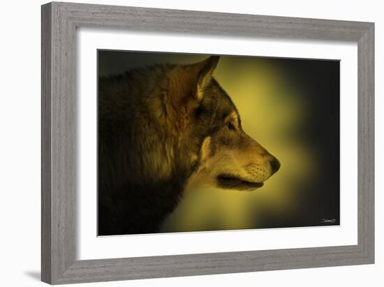 Wolf Profile HL1-Gordon Semmens-Framed Photographic Print