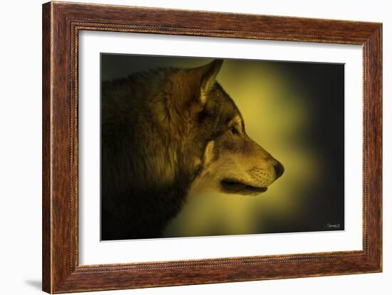 Wolf Profile HL1-Gordon Semmens-Framed Photographic Print