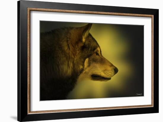 Wolf Profile HL1-Gordon Semmens-Framed Photographic Print