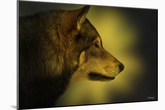 Wolf Profile HL1-Gordon Semmens-Mounted Photographic Print