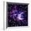 Wolf-Rayet Nebula-Celestial Image-Framed Premium Photographic Print