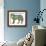 Wolf Standing-Sue Coccia-Framed Giclee Print displayed on a wall