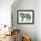 Wolf Standing-Sue Coccia-Framed Giclee Print displayed on a wall