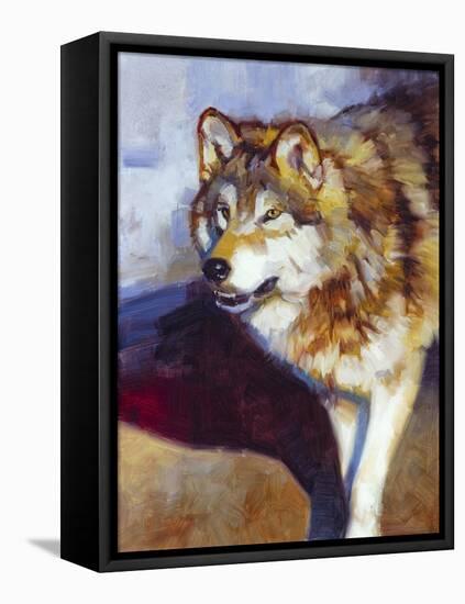 Wolf Study II-Julie Chapman-Framed Stretched Canvas