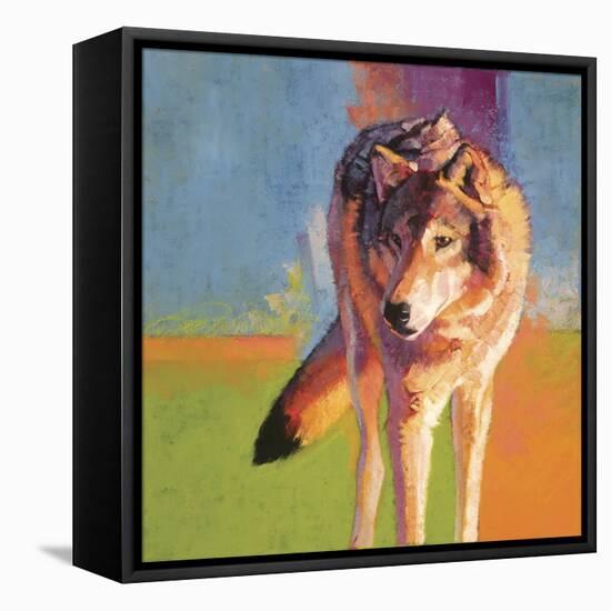 Wolf Study III-Julie Chapman-Framed Stretched Canvas